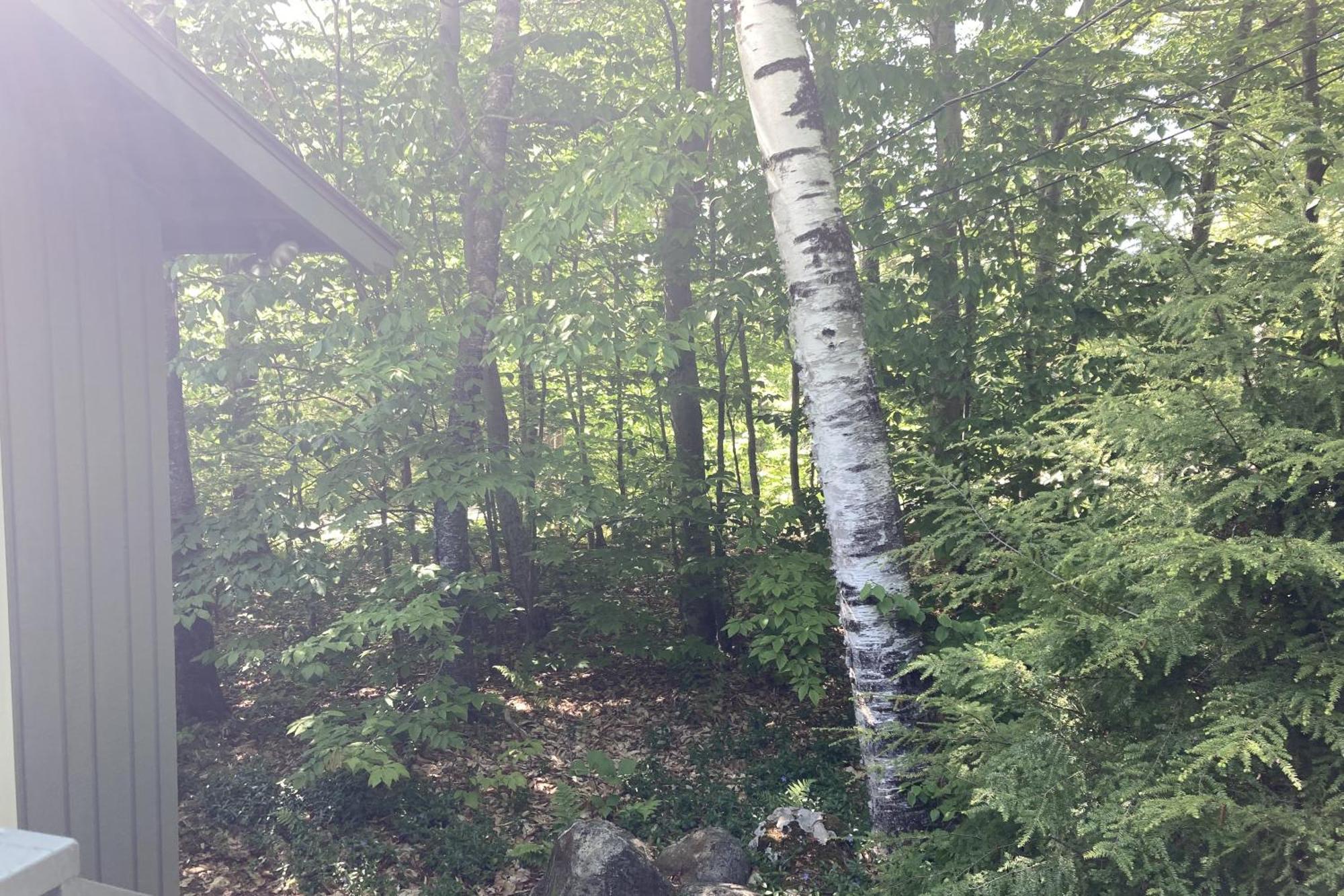 Snowflake Cabin Barnumville Экстерьер фото